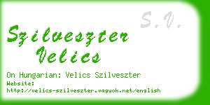 szilveszter velics business card